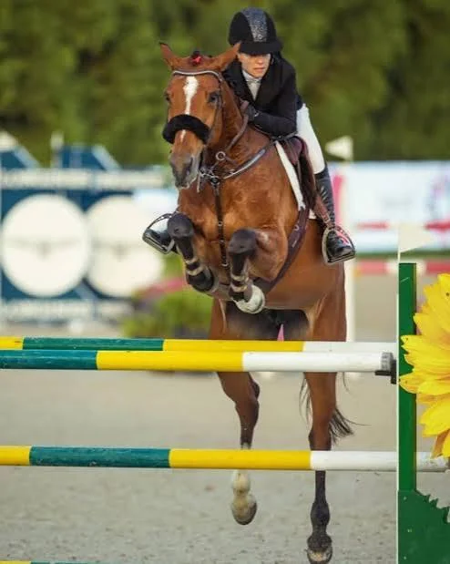 Equestrian experience at Naturals